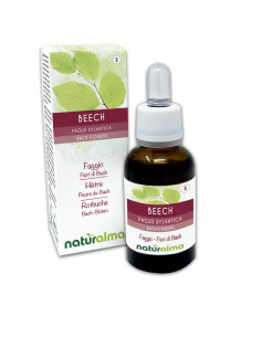 Beech bach gocce 30ml