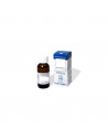 BETULA VERRUCOSA GEMME 60ML MG