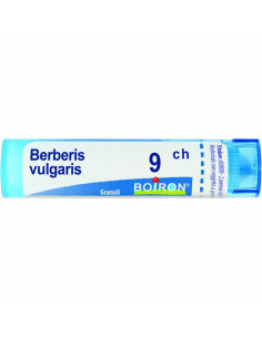 BO.BERBERIS VULGARIS*9CH 80GR