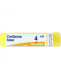 BO.CORTISONE 4CH GR