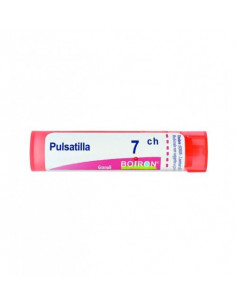 BO.PULSATILLA*7CH 80GR 4G