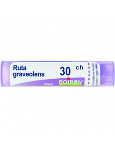 BO.RUTA GRAVEOLENS*30CH 80GR 4