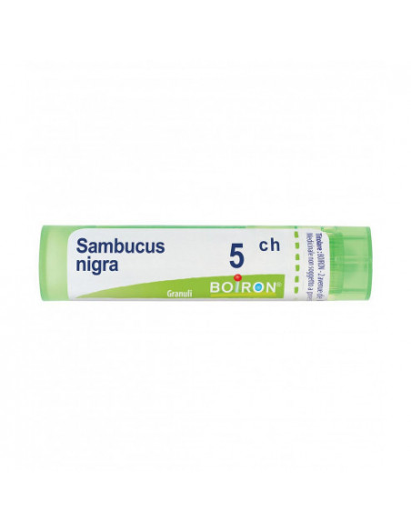 Bo.sambucus nigra*5ch 80gr 4g