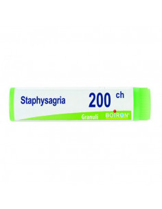 BO.STAPHYSAGRIA*200CH GR 1G