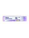 BO.STICTA PULMON*30CH 80GR 4G