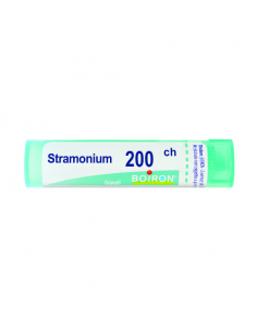 BO.STRAMONIUM*200CH 80GR 4G