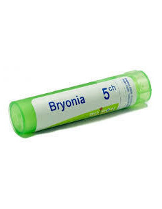 BRYONIA 5CH GL