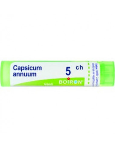 Capsicum annuum 5ch 80gr 4g