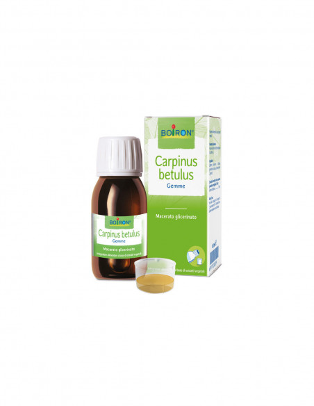 CARPINUS BETULUS GEMME 60ML MG