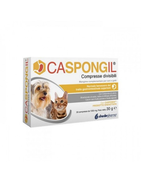 Caspongil pasta 30 gr