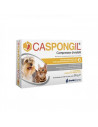 Caspongil pasta 30 gr