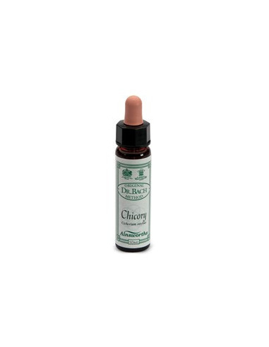 Chicory bach orig 10ml