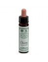 CHICORY BACH ORIG 10ML