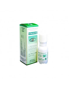 CINERARIA RECKEWEG COLL 10ML