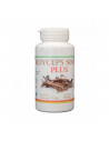 Cordyceps plus 100cps