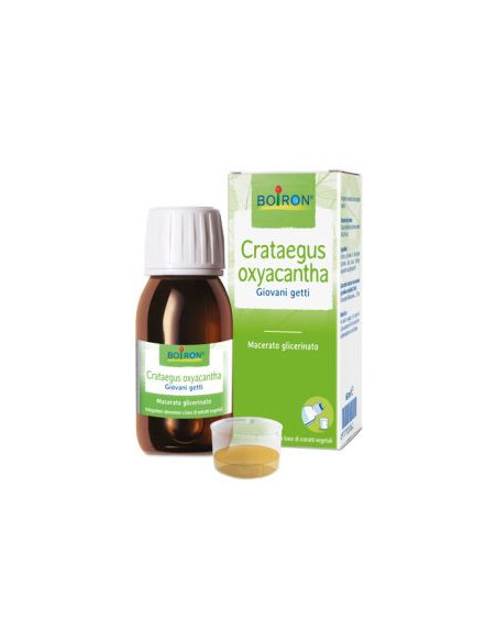 Crataegus oxy tm gocce 100ml