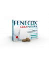 FENECOX GOLA NAT MEN EUC36PAST