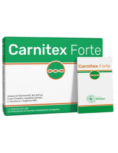 Carnitex forte 14bust