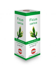 FICUS CARICA MG10% GOCCE 100ML