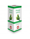 FICUS CARICA MG10% GOCCE 100ML