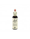 IMPATIENS BACH ORIG 10ML