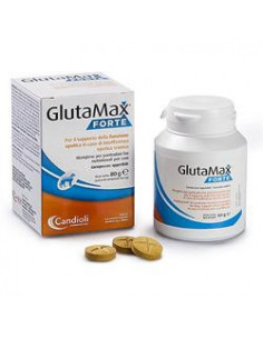 Glutamax forte 40 compresse