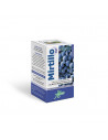 MIRTILLO PLUS SUCCO CONC 100ML