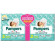 Pampers baby dryduo dwct min48