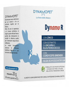 Dynamo r 20bust 2g