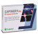 Capinerv dol 20 compresse gastroprot