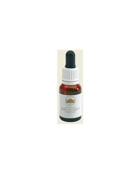 Grey spider flower austr 15ml