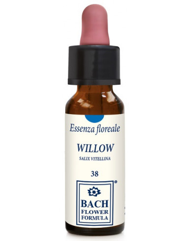 Willow original 10ml gtt