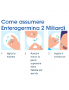 ENTEROGERMINA 2 MILIARDI/5 ML 10 FLACONCINI SOSPENSIONE ORALE