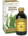 Sequoia 100ml analco gemmo 10+