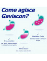 Gaviscon Brucione e Indigestione sospensione orale gusto menta 24 bustine