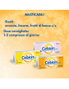 Cebion vitamina C gusto frutti di bosco senza zucchero 20 compresse masticabili