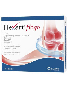 Flexart flogo 14bust nf