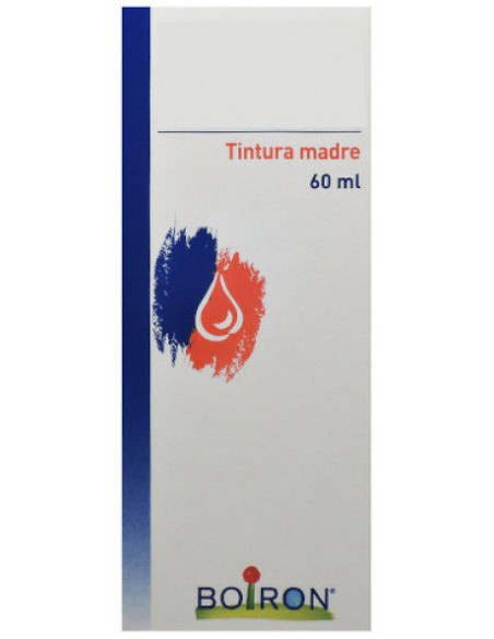 HYPERICUM PERFOR 60ML TM