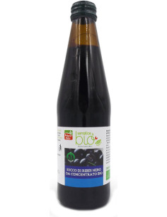 Succo ribes nero bio 330ml