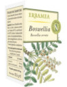 Boswellia 50opr