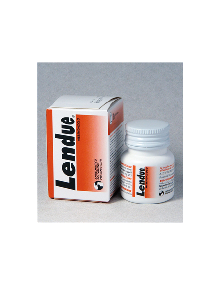 Lendue 12 compresse mast. 240 mg