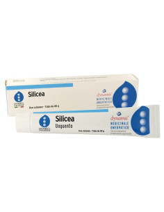 Silicea homeopharm ung 40g