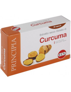 CURCUMA ESTRATTO SECCO 30CPS