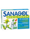 SANAGOL SMOKERS 24CARAM