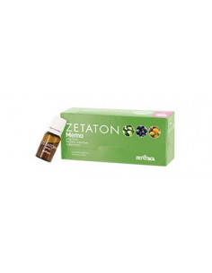 ZETATON MEMO 12FL 10ML