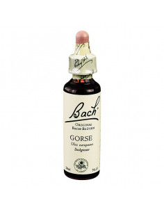 GORSE FIORI DI BACH ORIG 20ML