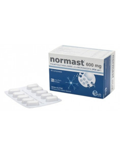 NORMAST 600MG 60CPR