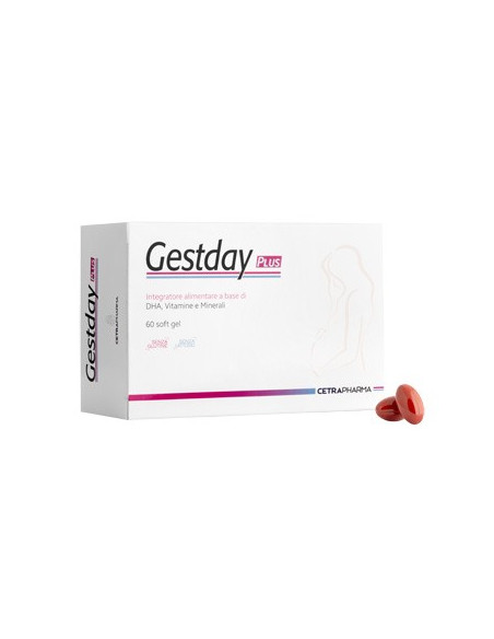 GESTDAY PLUS 60SOFT GEL