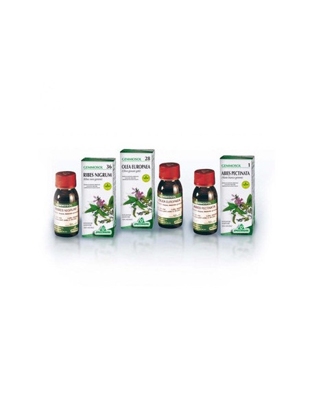 ROSA CANINA 50ML GM 1 DH GETT